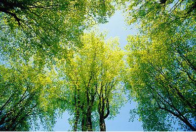 《地平线：山之召唤》21分钟试玩影片公开  2月22日上线